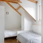 Bright & Spacious Loft In The Heart Of Old Town